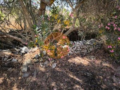 Acheter Terrain 4000 m2 Alcoutim