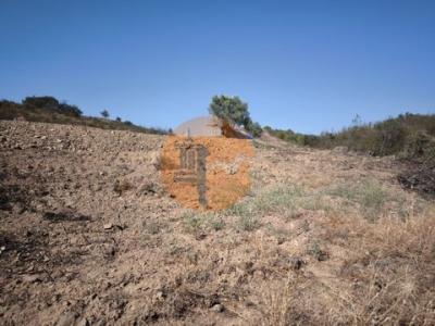 Acheter Terrain 2360 m2 Castro-marim