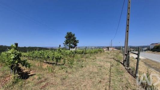 Vente Terrain Leiria PARCEIROS-E-AZOIA 10 au Portugal