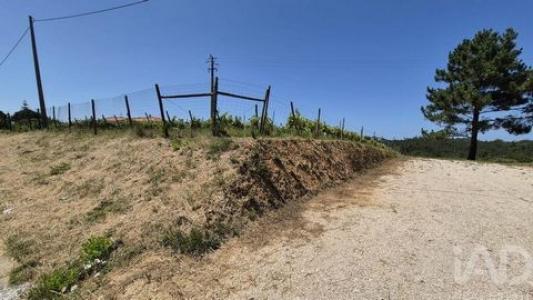 Acheter Terrain 2687 m2 Leiria