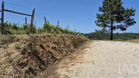 Acheter Terrain Leiria rgion LEIRIA