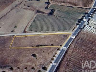 Acheter Terrain 2250 m2 Vidigueira