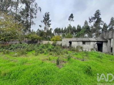 Vente Terrain Cantanhede TOCHA 06