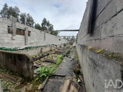 Acheter Terrain Cantanhede rgion COIMBRA