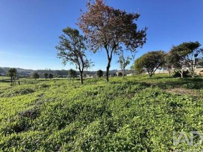 Acheter Maison 210 m2 Barcelos