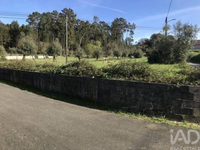 Annonce Vente Terrain Ansiao