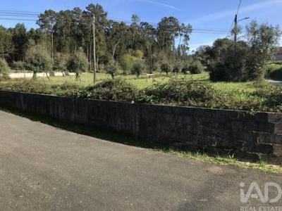 Acheter Terrain 1490 m2 Ansiao