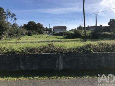 Acheter Terrain Ansiao rgion LEIRIA