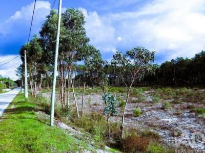 Vente Terrain Burinhosa PATAIAS-E-MARTINGANAA 10