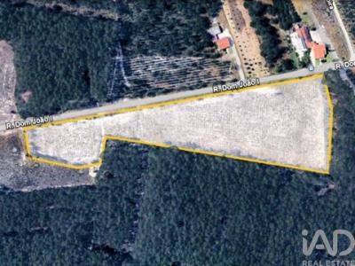 Annonce Vente Terrain Burinhosa