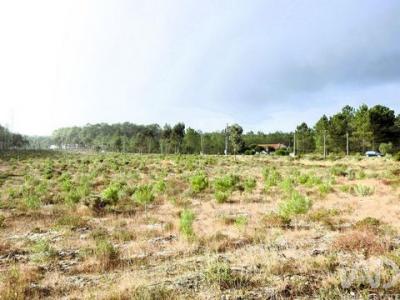 Acheter Terrain 27108 m2 Burinhosa