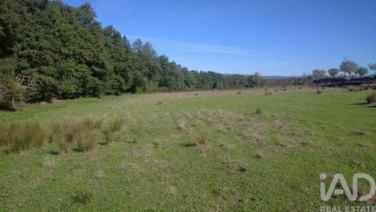 Acheter Terrain 9200 m2 Gouveia