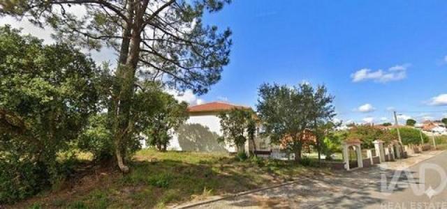 Annonce Vente Terrain Caldas-da-rainha