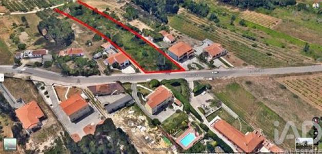 Acheter Terrain 7880 m2 Caldas-da-rainha