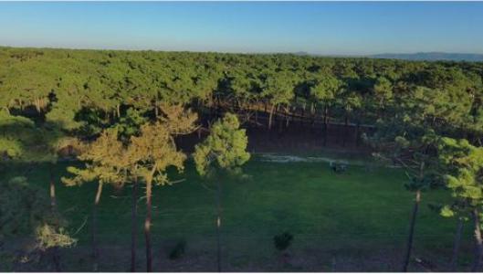 Acheter Maison Almada r�gion SETUBAL