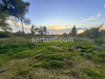 Acheter Terrain Silves r�gion FARO
