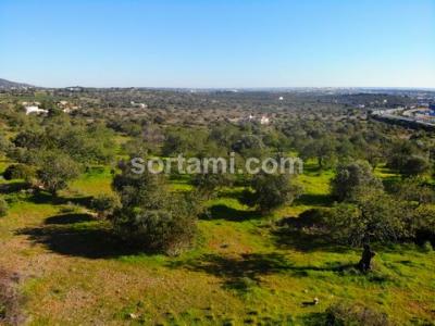 Annonce Vente Terrain Faro