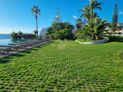 Annonce Vente 4 pi�ces Appartement Funchal