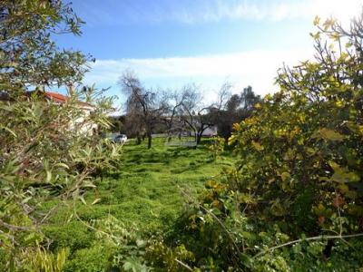 Acheter Maison 83 m2 Loule