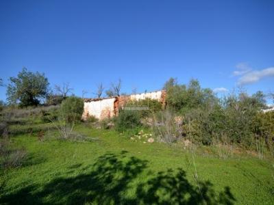 Acheter Terrain 11217 m2 Loule