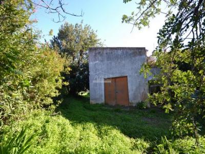 Acheter Maison Loule r�gion FARO