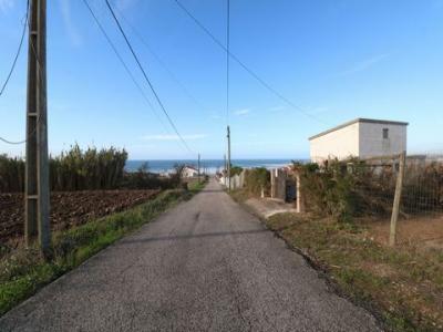 Annonce Vente Terrain Torres-vedras