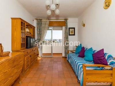 Acheter Appartement 37 m2 Loule