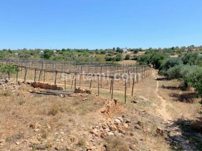 Acheter Terrain 67 m2 Olhao