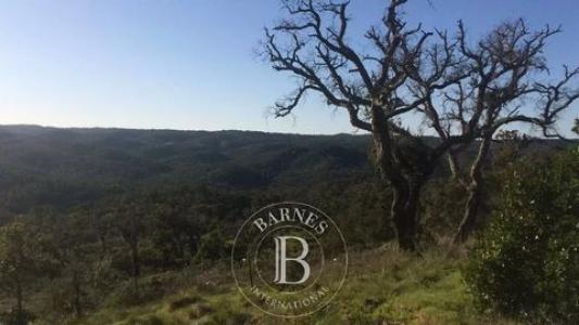 Acheter Terrain 32767 m2 Azinh-barros-s-mam-sadao