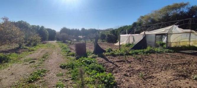 Vente Terrain Lourinha  11 au Portugal