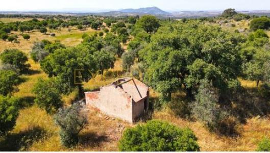 Acheter Terrain 10500 m2 Nisa