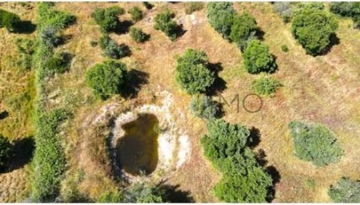 Acheter Terrain Nisa r�gion PORTALEGRE
