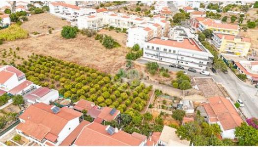 Acheter Terrain Silves r�gion FARO