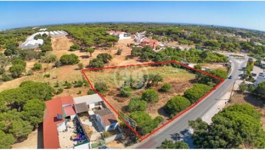 Annonce Vente Terrain Loule