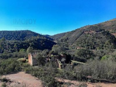 Annonce Vente Terrain Aldeia-ruiva
