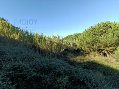 Annonce Vente Terrain Caparica