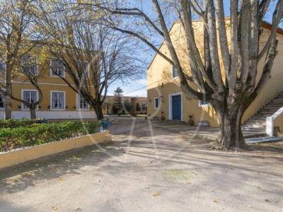 Acheter Maison Nazare r�gion LEIRIA