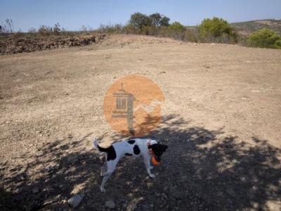Acheter Terrain 7280 m2 Castro-marim