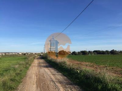 Annonce Vente Terrain Vila-real-de-santo-antonio