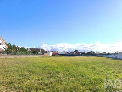 Annonce Vente Terrain Ovar