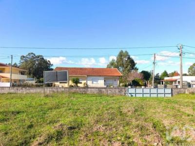 Acheter Terrain 1954 m2 Ovar