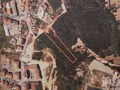 Annonce Vente Terrain Coimbra
