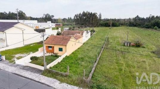 Annonce Vente Terrain Murtosa