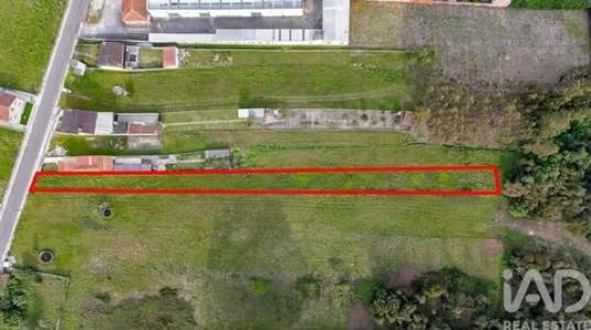 Acheter Terrain Murtosa r�gion AVEIRO
