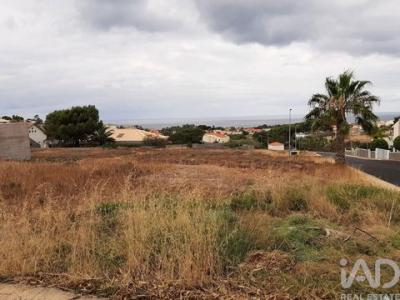 Annonce Vente Terrain Porto-santo