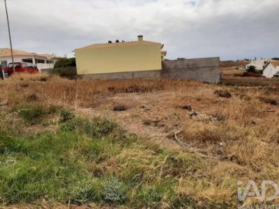 Acheter Terrain 400 m2 Porto-santo