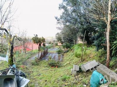 Acheter Maison Aldreu r�gion BRAGA