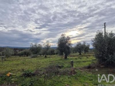 Acheter Maison 260 m2 Braganca