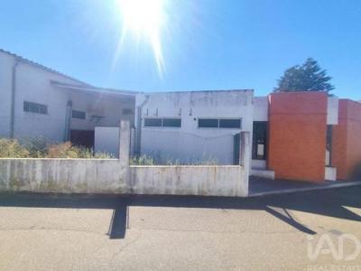Acheter Local commercial 593 m2 Elvas