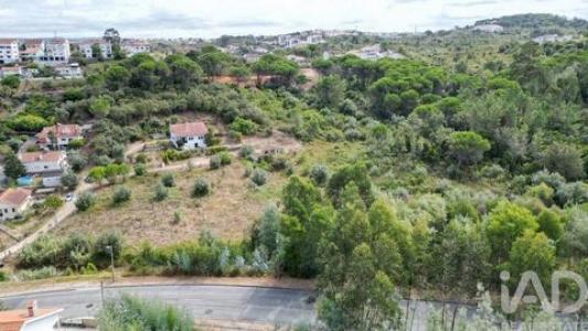 Acheter Terrain Coimbra r�gion COIMBRA